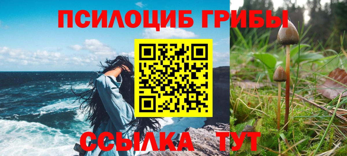 Лесной  Галлюциногенные грибы прущие грибы  Вход с VPN  Псилоцибиновые грибы мухоморы 