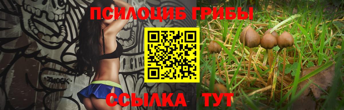 Псилоцибиновые грибы мухоморы Лесной